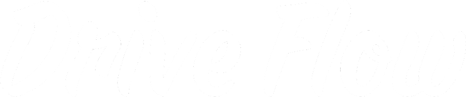 DriveFlow logo